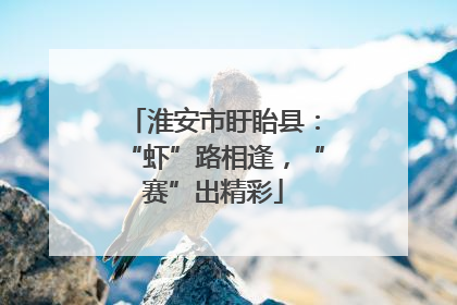淮安市盱眙县：“虾”路相逢，“赛”出精彩