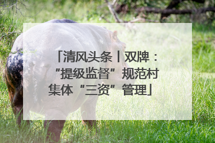 清风头条丨双牌：“提级监督”规范村集体“三资”管理