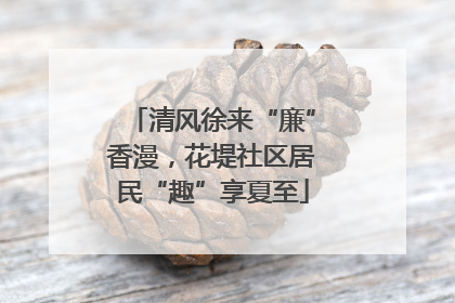 清风徐来“廉”香漫，花堤社区居民“趣”享夏至