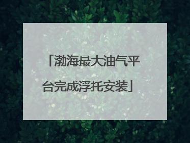渤海最大油气平台完成浮托安装