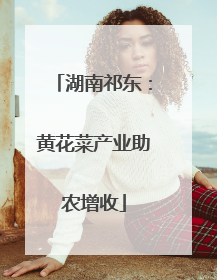 湖南祁东：黄花菜产业助农增收