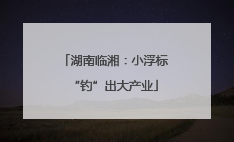湖南临湘：小浮标“钓”出大产业