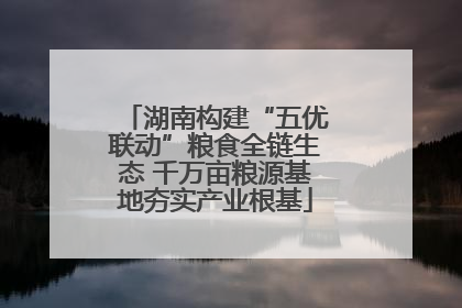 湖南构建“五优联动”粮食全链生态 千万亩粮源基地夯实产业根基