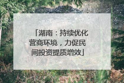 湖南：持续优化营商环境，力促民间投资提质增效