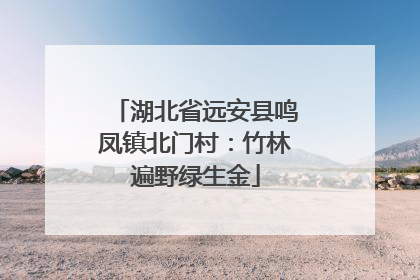 湖北省远安县鸣凤镇北门村：竹林遍野绿生金