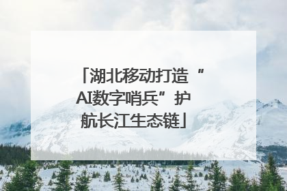 湖北移动打造“AI数字哨兵”护航长江生态链