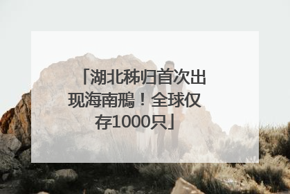 湖北秭归首次出现海南鳽！全球仅存1000只