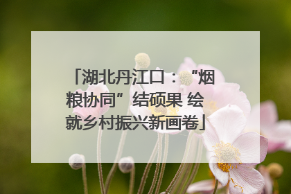 湖北丹江口：“烟粮协同”结硕果 绘就乡村振兴新画卷