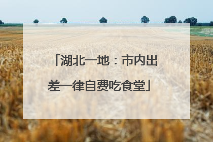 湖北一地：市内出差一律自费吃食堂