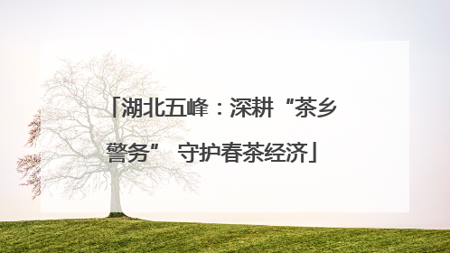 湖北五峰：深耕“茶乡警务” 守护春茶经济