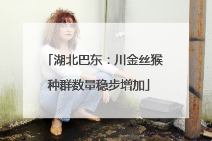 湖北巴东：川金丝猴种群数量稳步增加