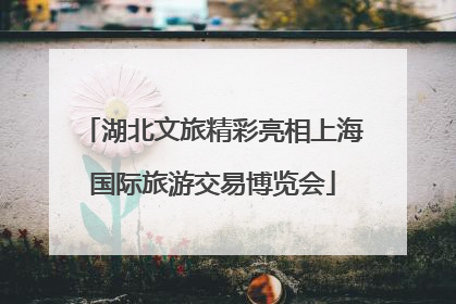 湖北文旅精彩亮相上海国际旅游交易博览会
