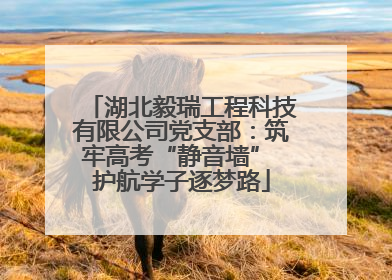 湖北毅瑞工程科技有限公司党支部：筑牢高考“静音墙” 护航学子逐梦路