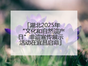 湖北2025年“文化和自然遗产日”非遗宣传展示活动在宜昌启幕