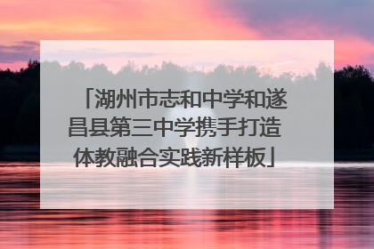 湖州市志和中学和遂昌县第三中学携手打造体教融合实践新样板