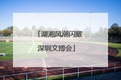 湖湘风潮闪耀深圳文博会