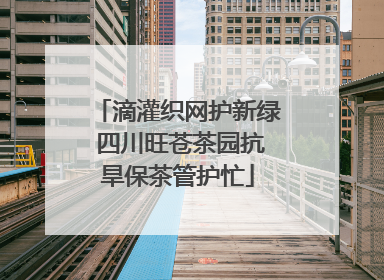 滴灌织网护新绿 四川旺苍茶园抗旱保茶管护忙