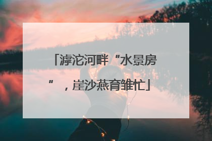 滹沱河畔“水景房”，崖沙燕育雏忙