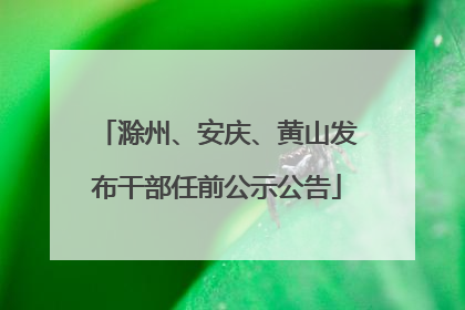 滁州、安庆、黄山发布干部任前公示公告