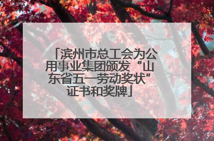 滨州市总工会为公用事业集团颁发“山东省五一劳动奖状”证书和奖牌