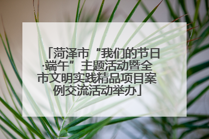 菏泽市“我们的节日·端午”主题活动暨全市文明实践精品项目案例交流活动举办