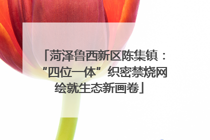 菏泽鲁西新区陈集镇：“四位一体”织密禁烧网 绘就生态新画卷