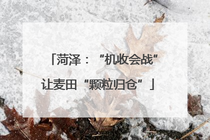 菏泽：“机收会战”让麦田“颗粒归仓”