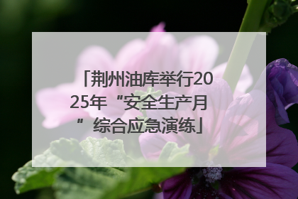 荆州油库举行2025年“安全生产月”综合应急演练