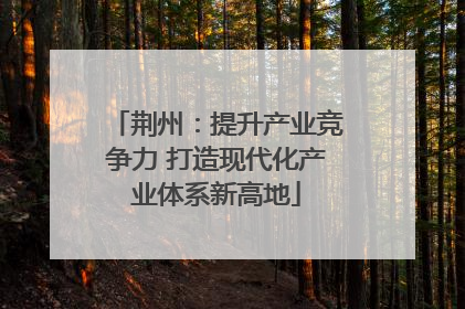 荆州：提升产业竞争力 打造现代化产业体系新高地