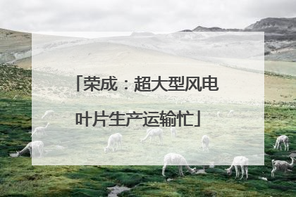 荣成：超大型风电叶片生产运输忙