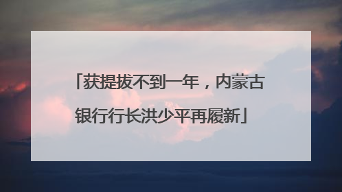 获提拔不到一年，内蒙古银行行长洪少平再履新