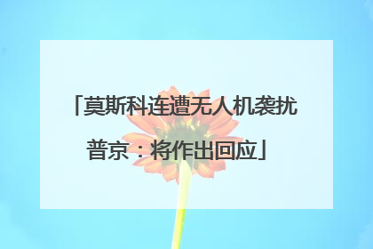 莫斯科连遭无人机袭扰 普京：将作出回应