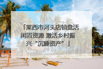 莱西市河头店镇盘活闲置资源 激活乡村振兴“沉睡资产”