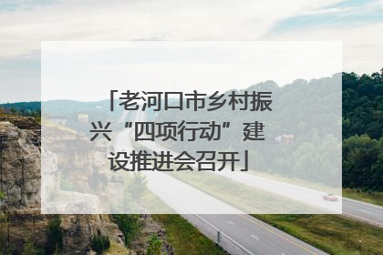 老河口市乡村振兴“四项行动”建设推进会召开
