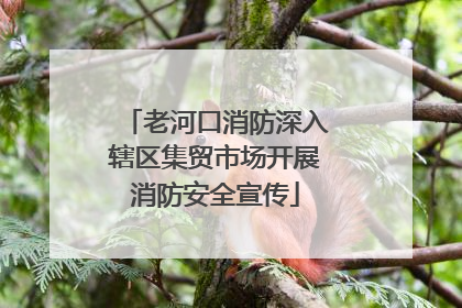 老河口消防深入辖区集贸市场开展消防安全宣传