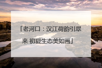 老河口：汉江荷韵引翠来 初夏生态美如画