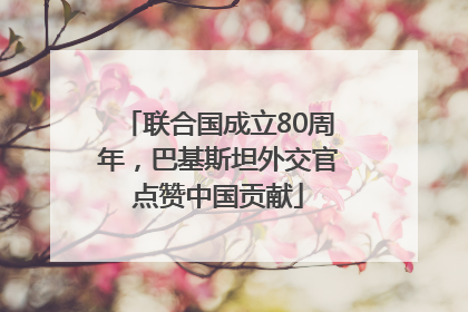 联合国成立80周年，巴基斯坦外交官点赞中国贡献