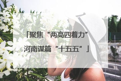 聚焦“两高四着力” 河南谋篇“十五五”