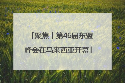 聚焦丨第46届东盟峰会在马来西亚开幕