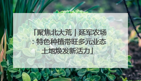 聚焦北大荒｜延军农场：特色种植带旺多元业态 土地焕发新活力