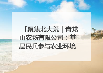 聚焦北大荒｜青龙山农场有限公司：基层民兵参与农业环境综合治理显效