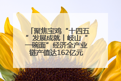 聚焦宝鸡“十四五”发展成就丨岐山“一碗面”经济全产业链产值达162亿元 入选全国典型县