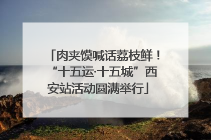肉夹馍喊话荔枝鲜！“十五运·十五城”西安站活动圆满举行