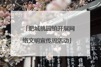 肥城桃园镇开展网络文明宣传周活动