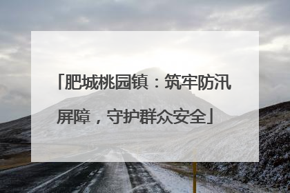 肥城桃园镇：筑牢防汛屏障，守护群众安全