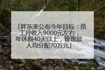 胖东来公布今年目标：员工月收入9000元左右，年休假40天以上，管理层人均分配70万元