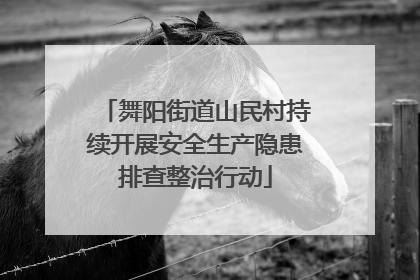 舞阳街道山民村持续开展安全生产隐患排查整治行动