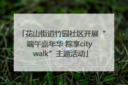 花山街道竹园社区开展“端午嘉年华 粽享city walk”主题活动
