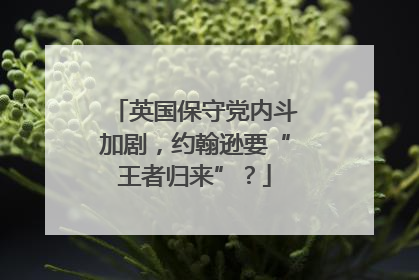 英国保守党内斗加剧，约翰逊要“王者归来”？