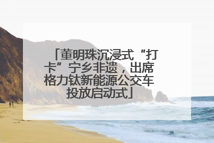 董明珠沉浸式“打卡”宁乡非遗，出席格力钛新能源公交车投放启动式